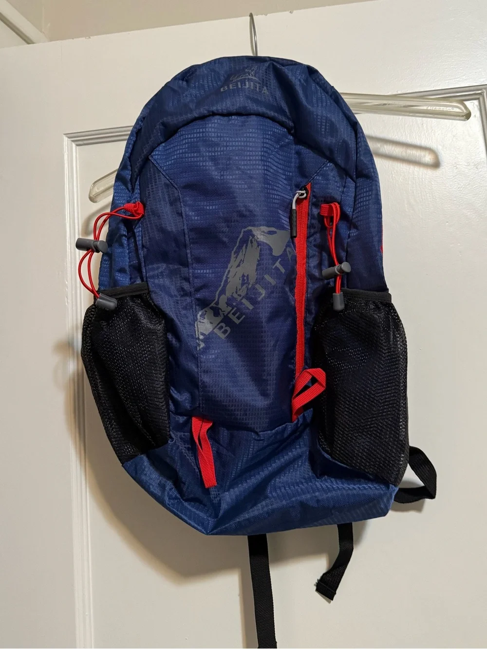 Blue Daypack Backpack with Red Accents